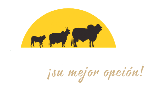 FERCOGAN SRL